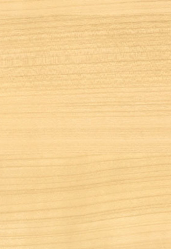 Maple 0038