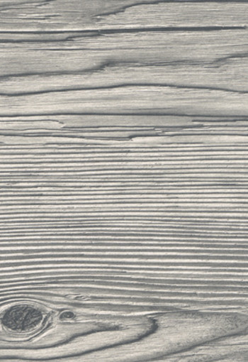 Urban Spruce 0217
