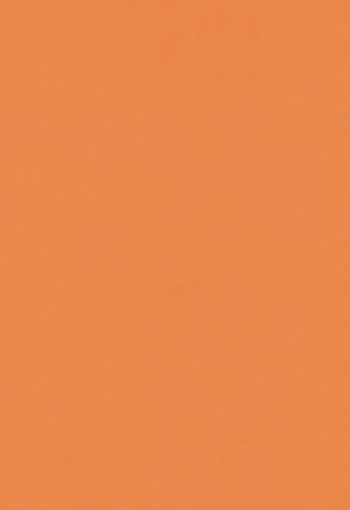 Orange 0402