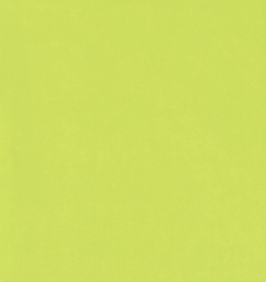 Lime 0408