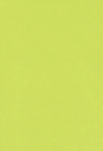 Lime 0408