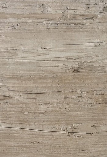 Washington Pine 0226