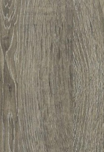 Logan Eiken T539